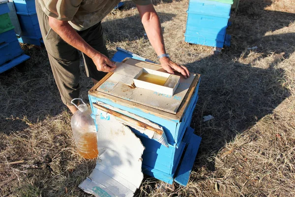 Imker inspiziert Bienen — Stockfoto