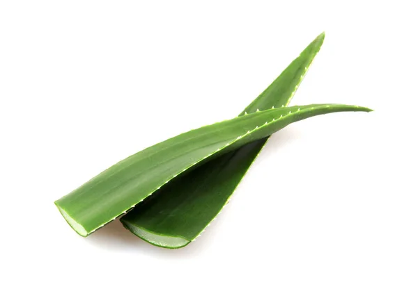 Aloe Vera List Bílém Pozadí — Stock fotografie