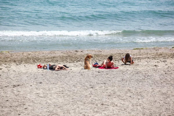 Pomorie Bulharsko Červen 2020 Lidé Relaxují Pláži — Stock fotografie