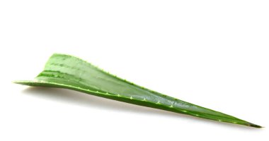 Aloe vera bitkisi beyaz arka planda izole edilmiş. Aloe vera, Aloe cinsinin sulu bir bitki türüdür. Tarım ve tıbbi kullanım için yetiştirilir.