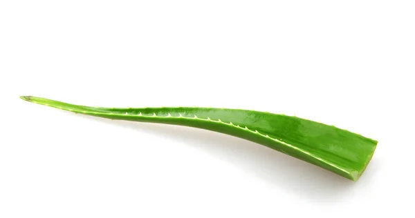 Pianta Aloe Vera Isolata Fondo Bianco Aloe Vera Una Pianta — Foto Stock