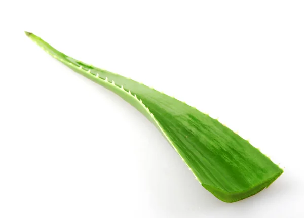 Roślina Aloesu Izolowana Białym Tle Aloes Vera Jest Soczystym Gatunkiem — Zdjęcie stockowe