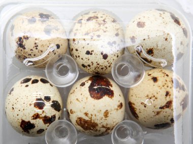 Paketteki Taze Bıldırcın Yumurtalarının Resmi