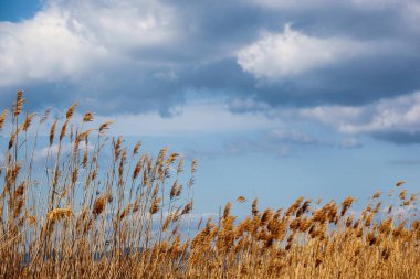 Göle karşı göl manzarası
