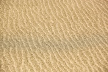 Kum Arkaplan Dokusunun Yakın Çekimi