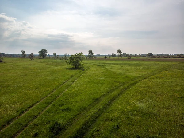 Campo Verde Com Caminho Estrada Que Está Dividido Kiev Ucrânia — Fotografia de Stock