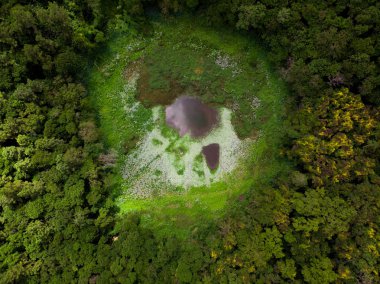 Trou aux Cerfs Volkanı, Mauritius, Afrika. 2019 Şubat. Hava fotoğrafı.