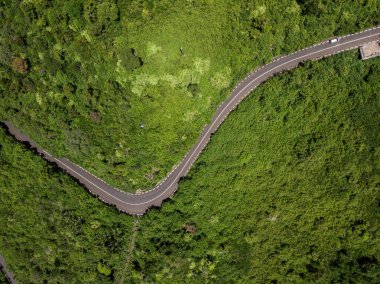 Mauritius'ta dağ kıvrımlı yol, Şubat 2019 