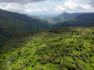 Drone'dan Mauritius dağ manzarası, havadan çekilmiş fotoğraf.