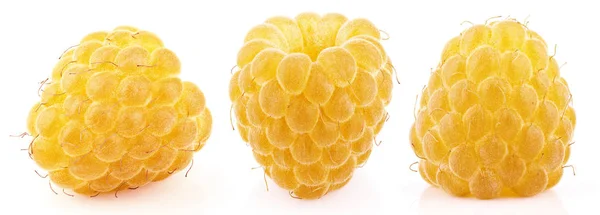 Colección de frutos de frambuesa amarillos aislados en blanco — Foto de Stock