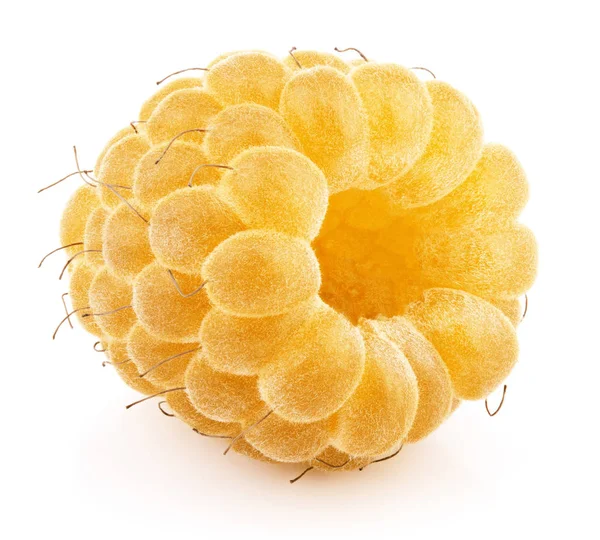 Uma Fruta Framboesa Amarela Isolada Fundo Branco — Fotografia de Stock