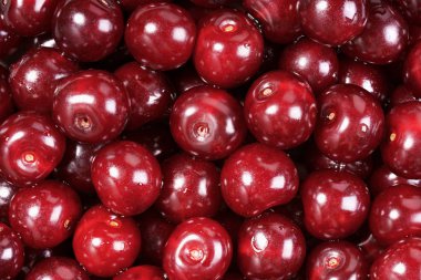 Olgun kiraz yığını Close-up. Olgun kırmızı kiraz arka plan tam ekran. Üstten görünüm