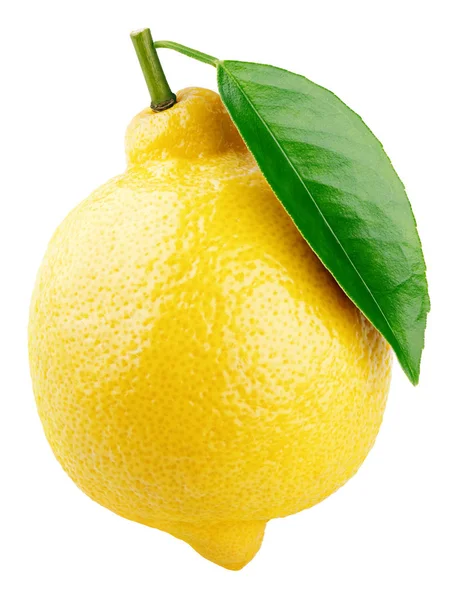Mogna Helt Gul Citron Citrusfrukt Med Grönt Blad Isolerad Vit — Stockfoto