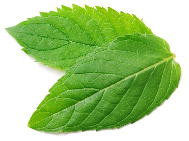 Beyaz arka planda izole edilmiş iki taze çiğ nane yaprağı. Tam alan derinliği.