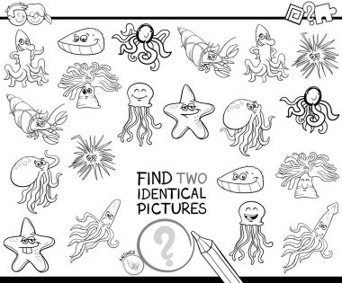 Siyah ve beyaz çizgi film illüstrasyon iki özdeş resimleri deniz hayat hayvan karakter boyama kitabı olan çocuklar için eğitici bir oyun bulma