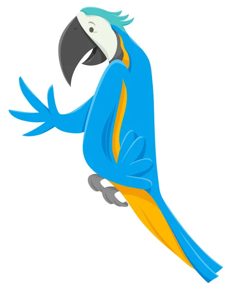 Macaw Kuş Komik Hayvan Karakteri Çizgi Filmi — Stok Vektör