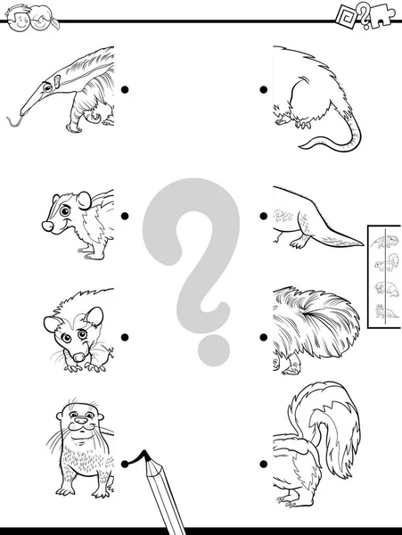 Czarno Biały Ilustracja Kreskówka Zabawy Edukacyjnej Dopasowania Połówek Zdjęcia Zwierzętami — Wektor stockowy