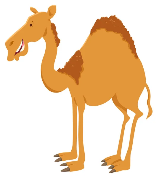 Ilustración Dibujos Animados Dromedary Camel Funny Animal Character — Vector de stock