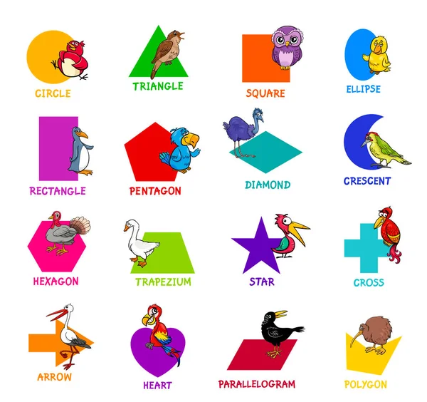 教育卡通插图的基本几何形状与字幕和鸟类动物字符的儿童 — 图库矢量图片