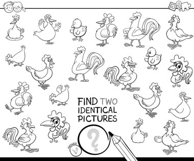 Black and White Cartoon Illustration of Finding Two Identical Pictures Educational Game for Children with Hens and Roosters Chicken Farm Animal Characters Coloring Book