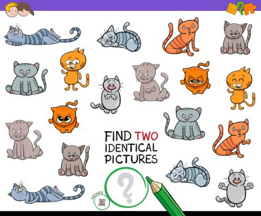 Çizgi film illüstrasyon Cats ve yavru kedi hayvan karakter olan çocuklar için eğitici bir oyun iki özdeş resimleri bulma
