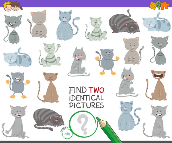 Encontrar dos gatos idénticos tarea para niños — Vector de stock