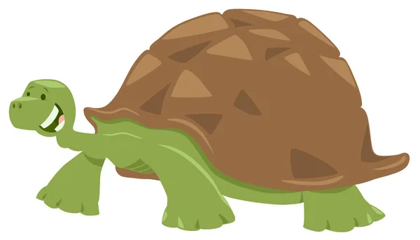 Cute turtle or tortoise animal character — Stock Vector