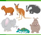 Картина, постер, плакат, фотообои "wild animal characters cartoon set", артикул 256269306
