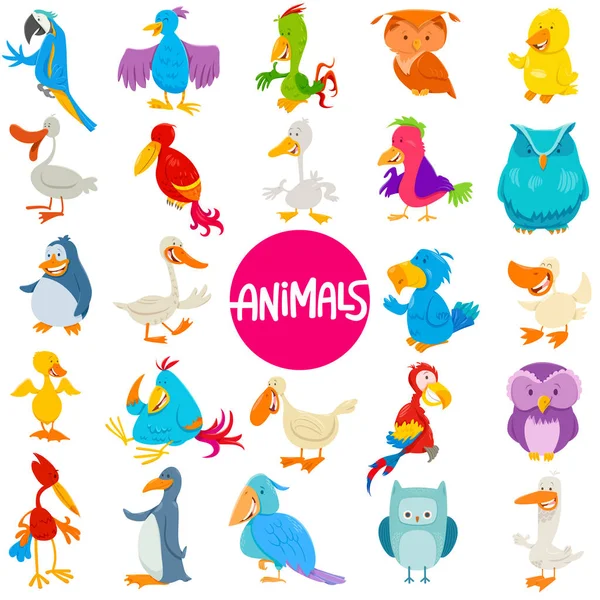 Dibujos animados aves animales personajes gran conjunto — Vector de stock