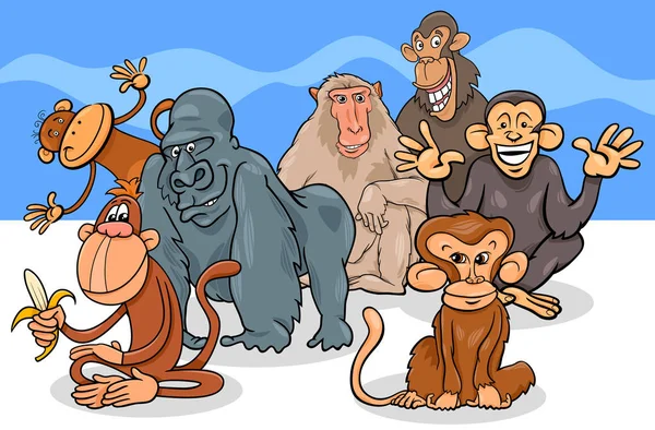 Majmok és a majmok rajzfilmfigurák csoport — Stock Vector