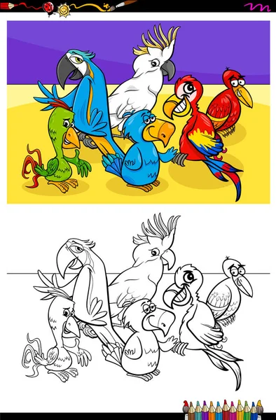 Loros animales personajes grupo color libro — Vector de stock