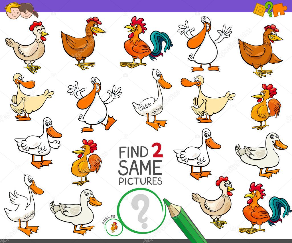 find two same farm birds game for kids