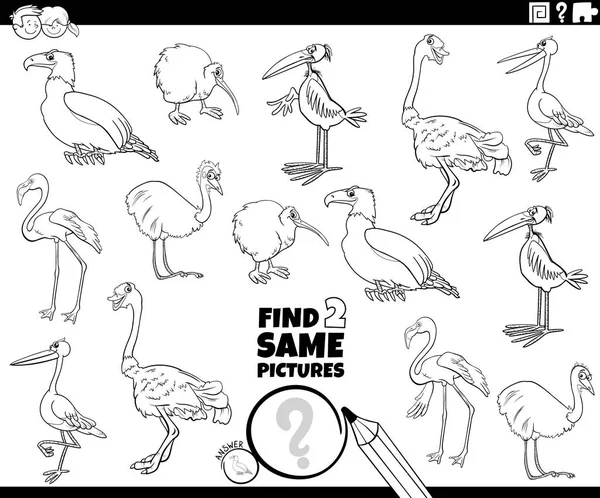 为有鸟类动物特征的儿童找到两个相同图片教育任务的黑白卡通图解 — 图库矢量图片
