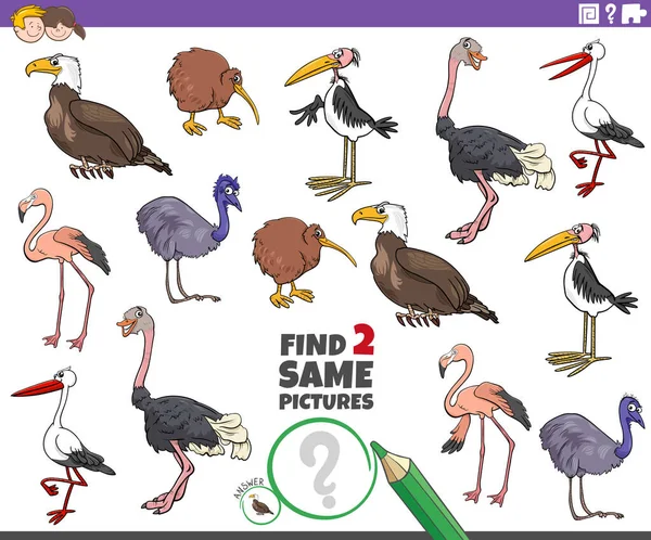 为有鸟类动物特征的儿童找到两个相同图片教育任务的卡通说明 — 图库矢量图片