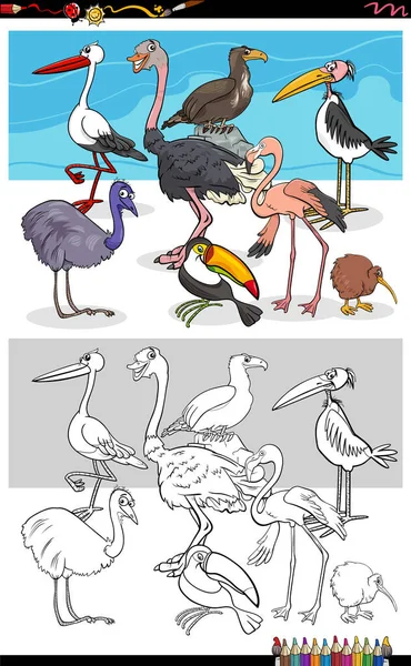 Illustration Dessins Animés Oiseaux Drôles Coloriage Groupe Personnages Animaux Page — Image vectorielle