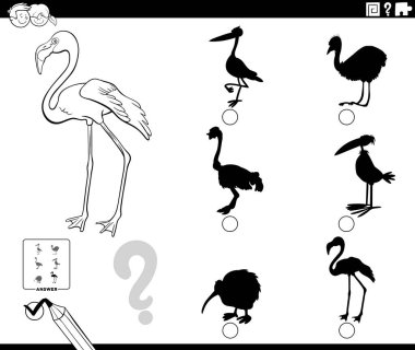 Flamingo Kuş Karakteri Kitap Sayfası ile Çocuklar için Doğru Gölgeyi Bulmanın Siyah ve Beyaz Çizgi FilmleriName