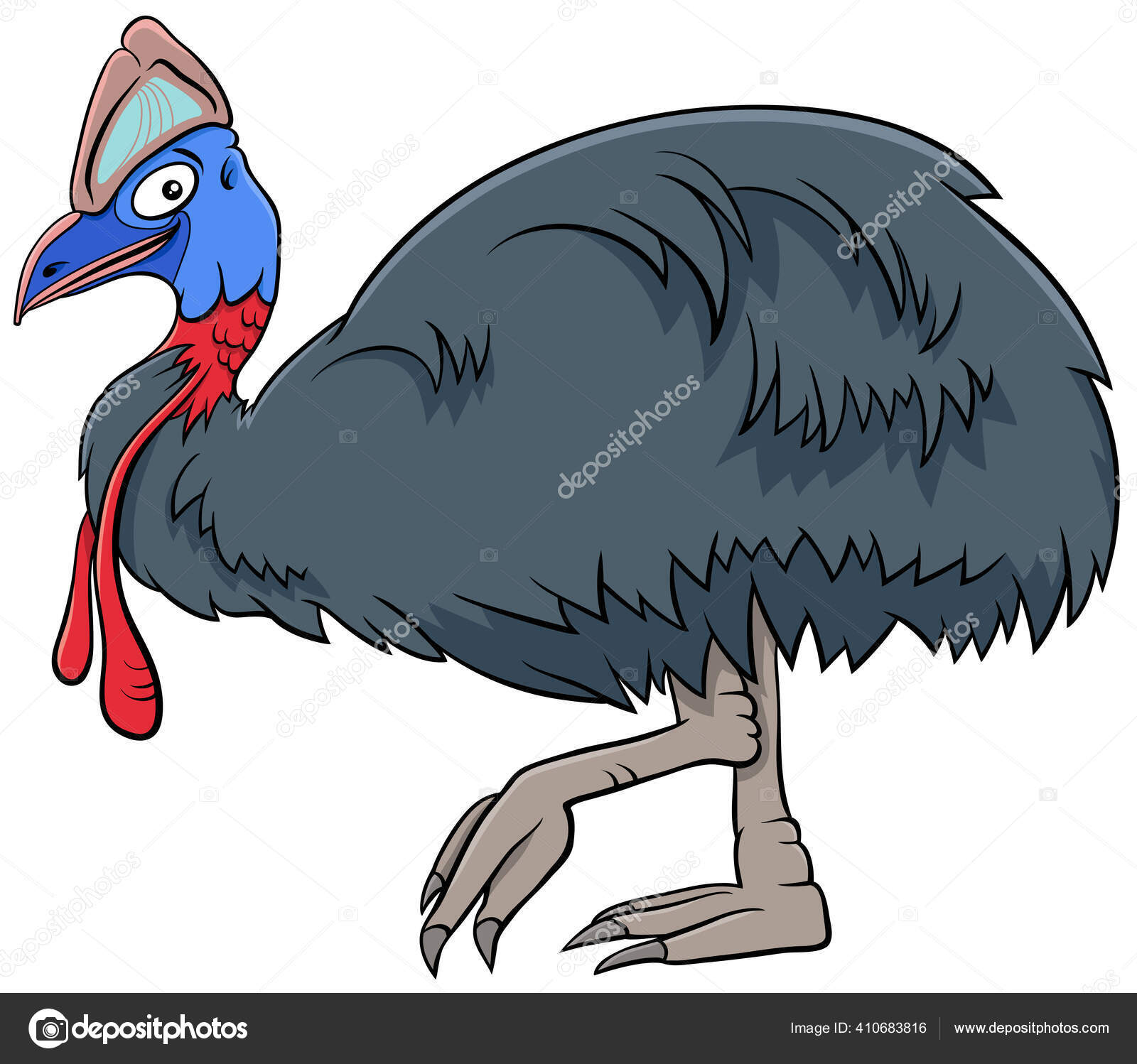 Casuarius Stok Vektor