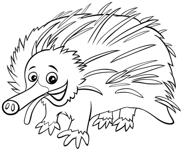 Black White Cartoon Illustration Echidna Wild Animal Character Coloring Book — 스톡 벡터
