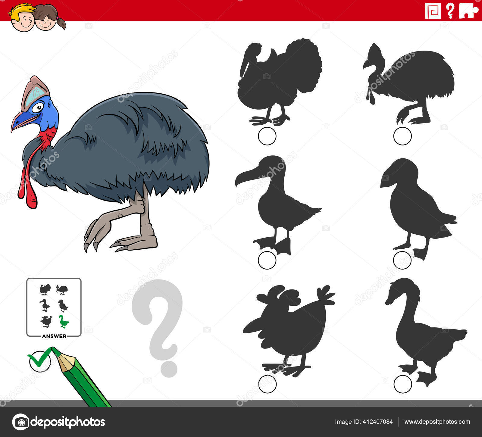 Casuarius Stok Vektor