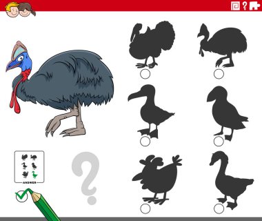 Cassowary Kuş Hayvanı Karakteri ile Çocuklar için Doğru Gölgeyi Bulma Çizgi Filmi Eğitim Oyunu