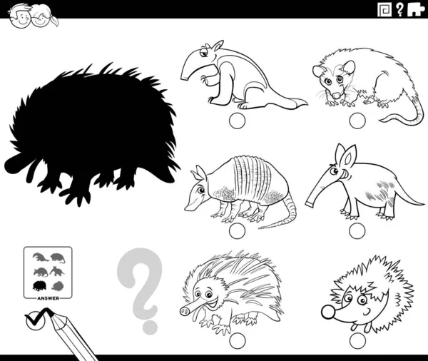 Black White Cartoon Illustration Finding Right Picture Shadow Educational Task — Stockový vektor