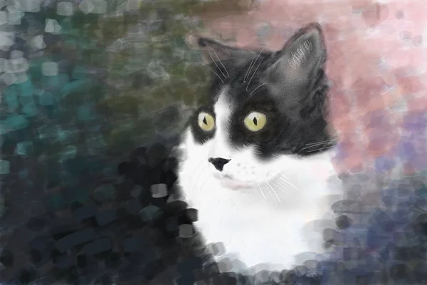 画的猫肖像 — 图库照片