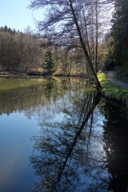 Dikey yansıması olan göl