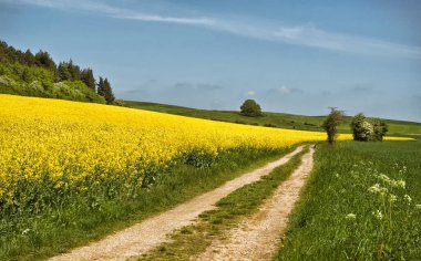 Almanya 'da Eifel' de ilkbaharda manzara