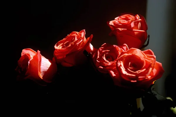 Birkaç turuncu gül buket