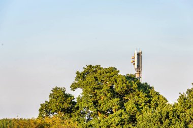 Günbatımı ağaç görünümünde İngiliz mobil operatör Mast