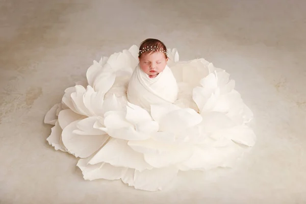 Noworodka Dziewczynka Dni Jakie Stwarzają Olbrzymie Biały Kwiat Studio Sesji — Zdjęcie stockowe