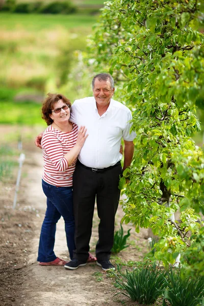 Senior couple outdoor in orchard — Stock Photo, Image