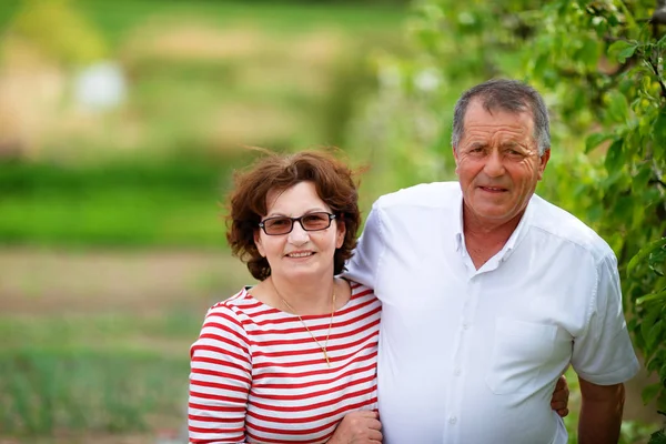 Senior par utomhus i Orchard — Stockfoto
