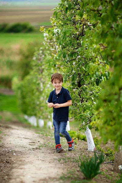 5 jaar oude outdoor in Orchard Rechtenvrije Stockfoto's
